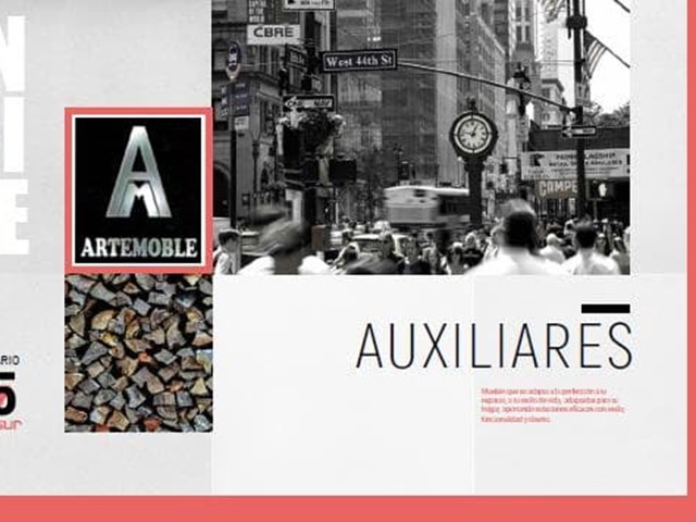 AUXILIARES INTERIORES